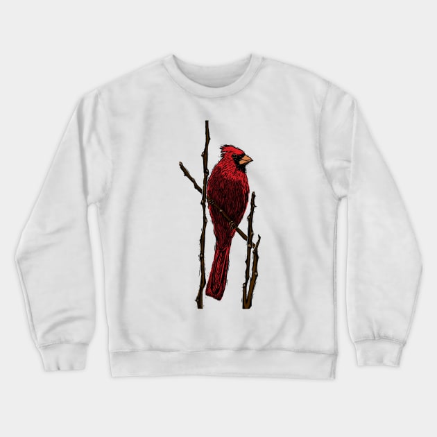 Northern Cardinal Crewneck Sweatshirt by deancoledesign